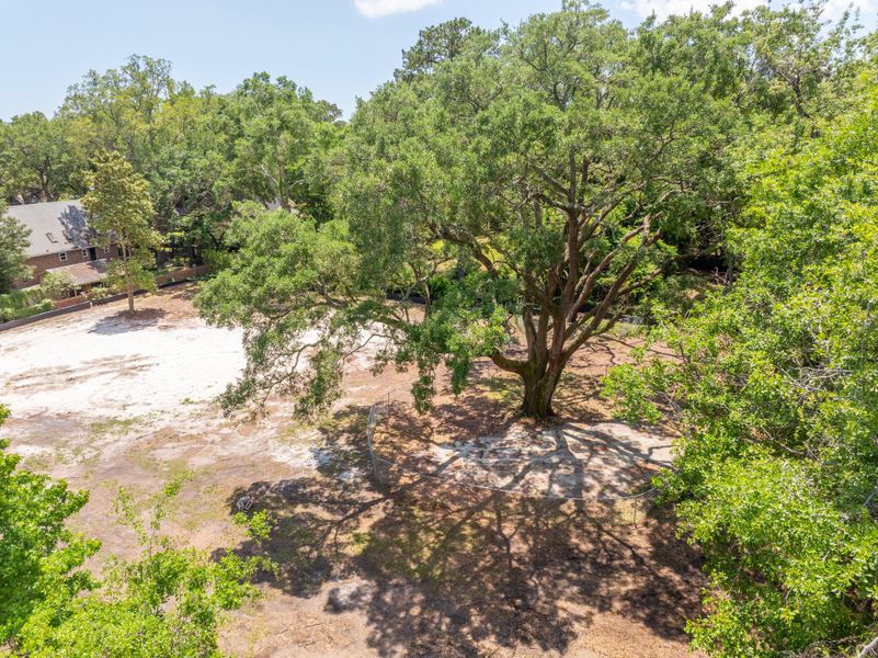 Natural landscape and outdoor views near  in Mount Pleasant (Image 24).
