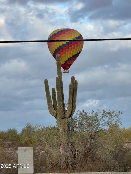 Hot air balloons in desert Hot air balloons in desert