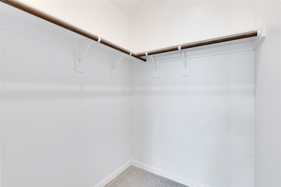 Spacious closet featuring carpet Spacious closet featuring carpet