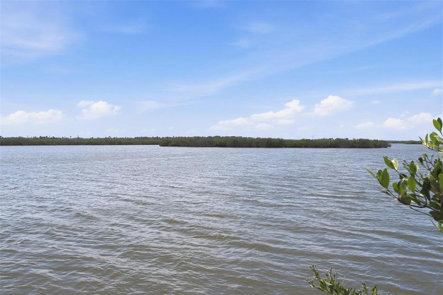 Natural landscape and outdoor views near  in New Smyrna Beach (Image 47).