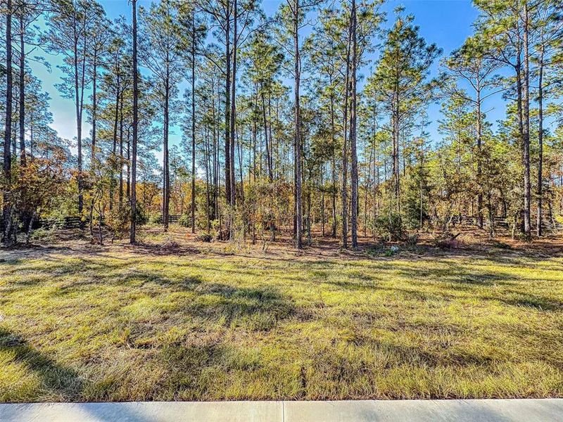 Natural landscape and outdoor views near  in Ocala (Image 62).