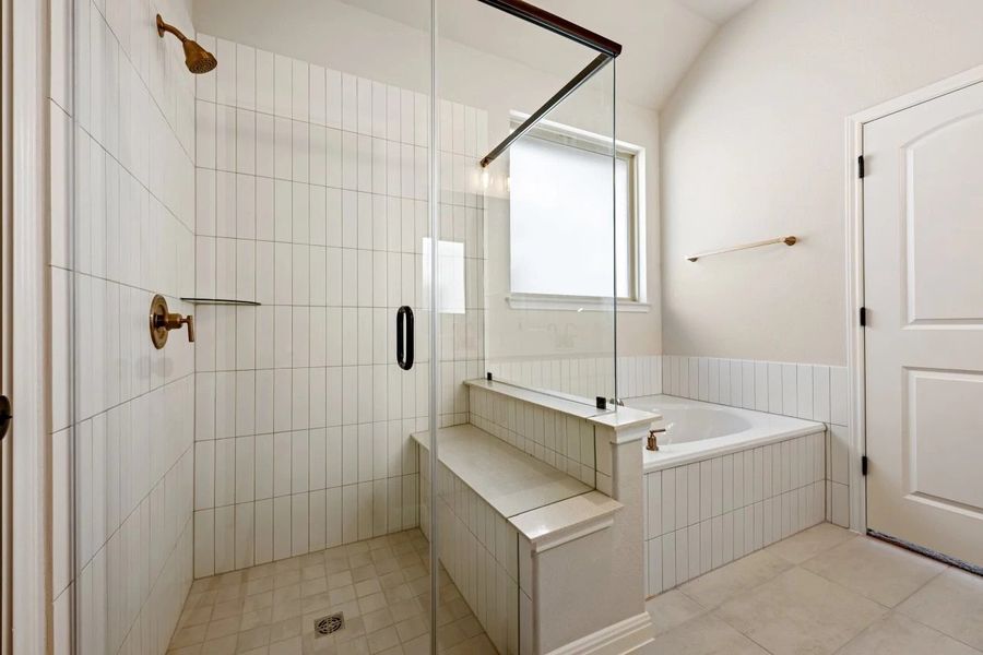 Primary Shower and Tub