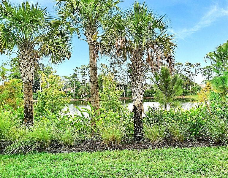 Natural landscape and outdoor views near Edgewater Pointe in Stuart (Image 28).
