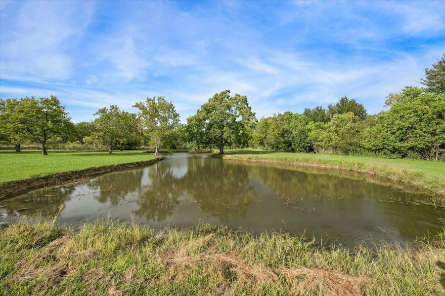 Natural landscape and outdoor views near  in Fulshear (Image 25).