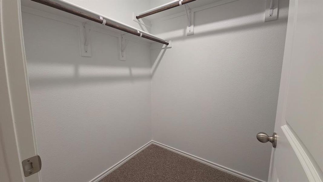 Closet featuring white textured walls, two levels of shelving, two clothes hanging rods, and neutral-toned carpet