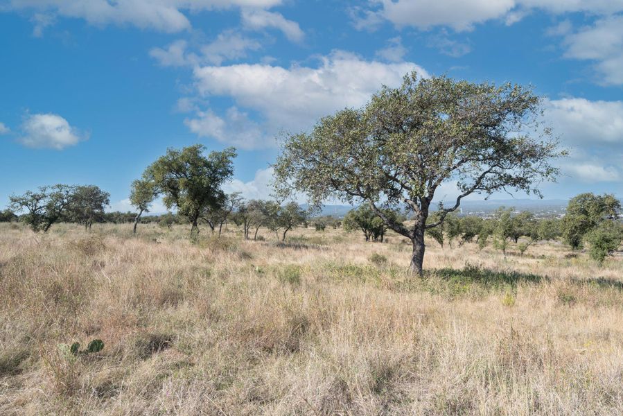 Natural landscape and outdoor views near  in Kingsland (Image 18).