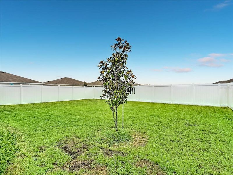 Natural landscape and outdoor views near  in Brooksville (Image 42).