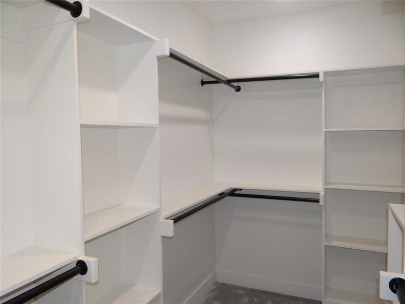 Spacious master closet featuring carpet