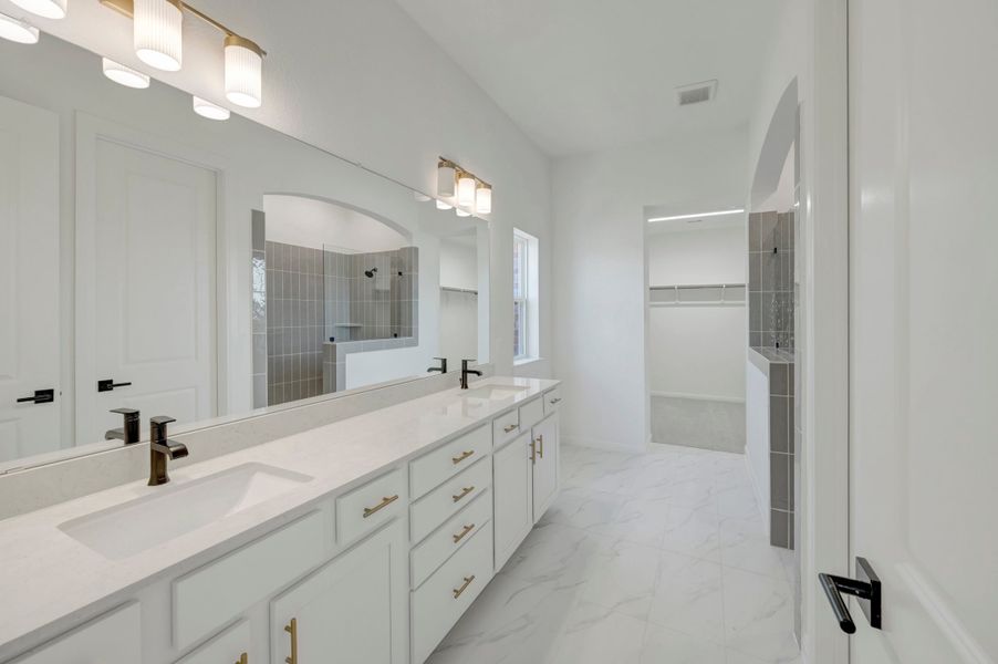 Owner's Bath