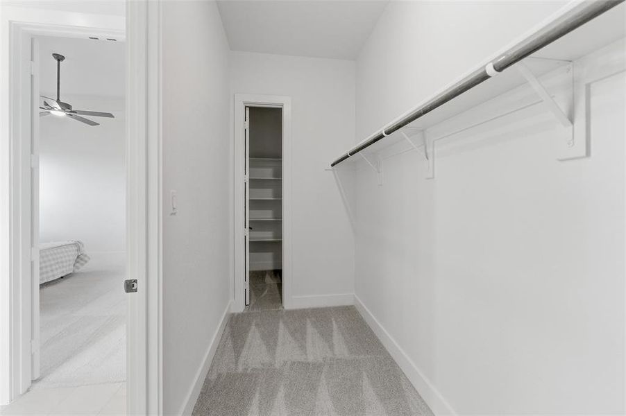 Spacious walk-in closet featuring a hanging rod, shelving, and light gray patterned carpeting