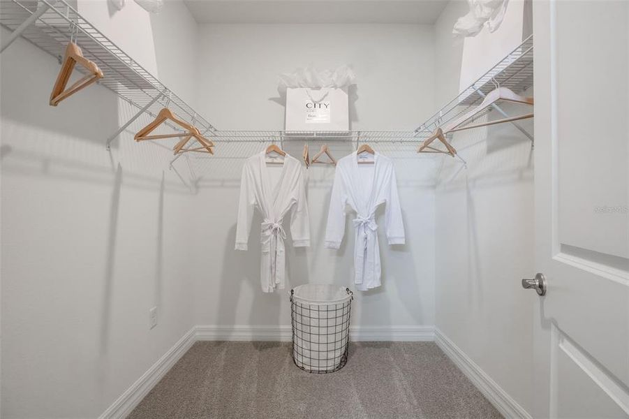 Image 49 of a home in Lakes of Mount Dora.