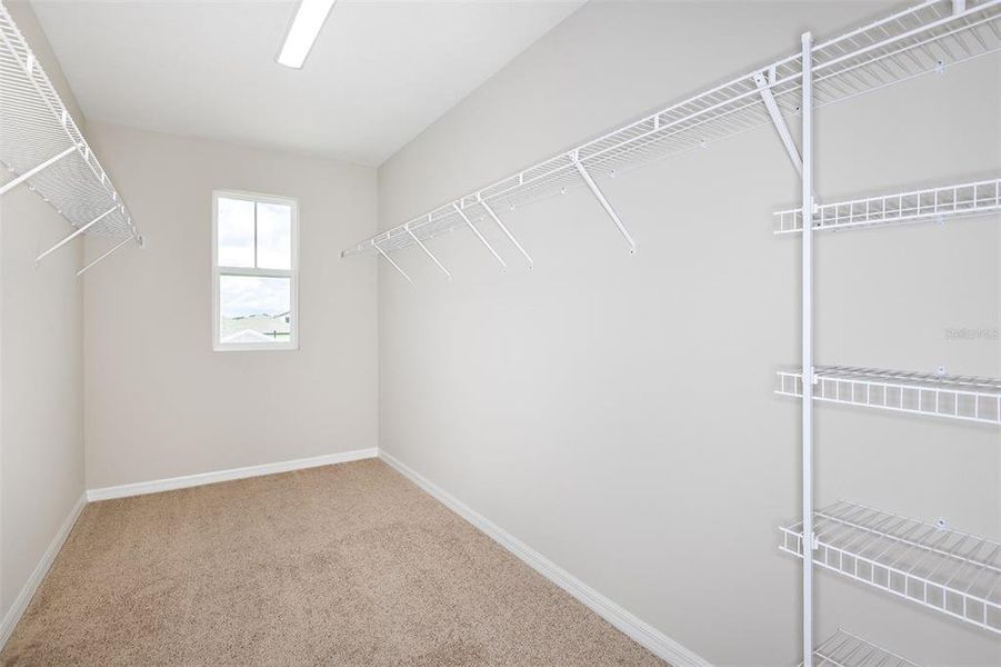 Spacious, unfurnished interior of a new home in Pasadena Ridge, Dade City (Image 13).