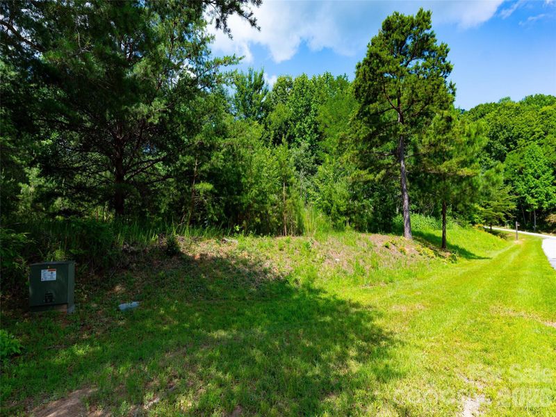 Natural landscape and outdoor views near  in Mill Spring (Image 21).