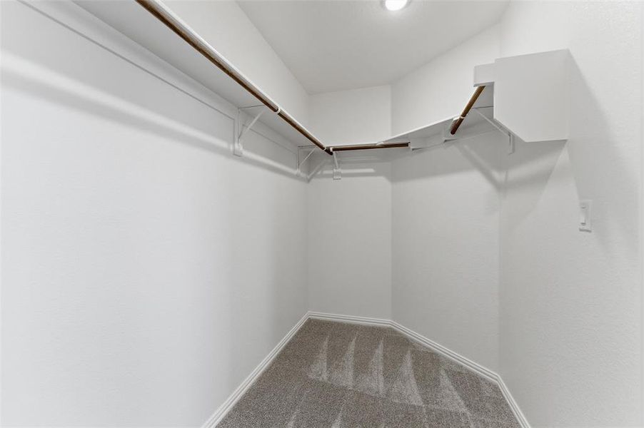Walk-in closet with light gray carpeting, white walls, and built-in white shelving and wooden rods