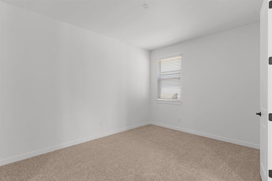 Unfurnished room featuring carpet flooring and baseboards