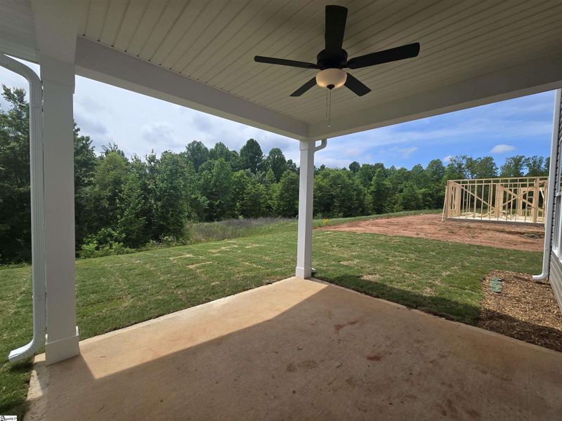Exterior details and patio area of a home in Shiloh Trail, Wellford (Image 15).