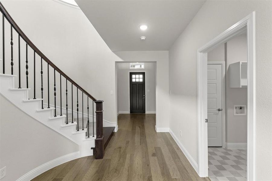 01_Grapevine II_Representative Photo