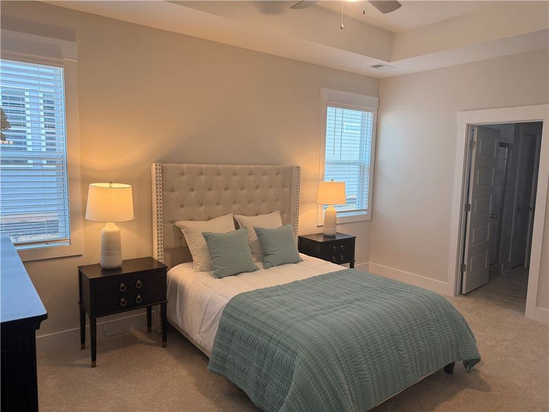 This tranquil bedroom features plush carpet and an
