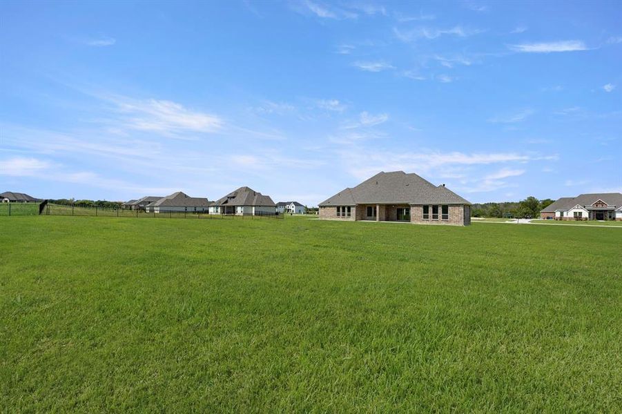 26. 409 Spoonbill - Back (2)