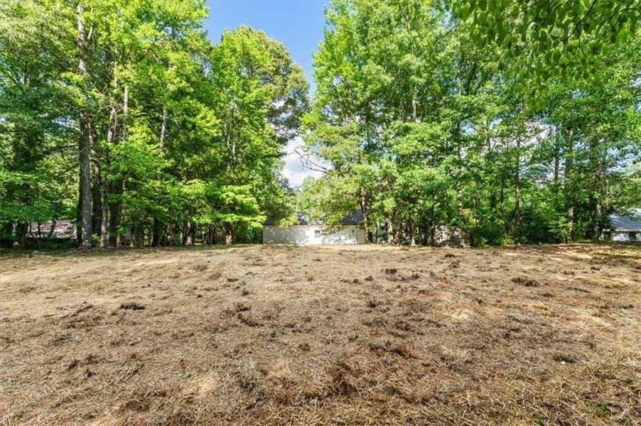 Natural landscape and outdoor views near  in Fairburn (Image 43).
