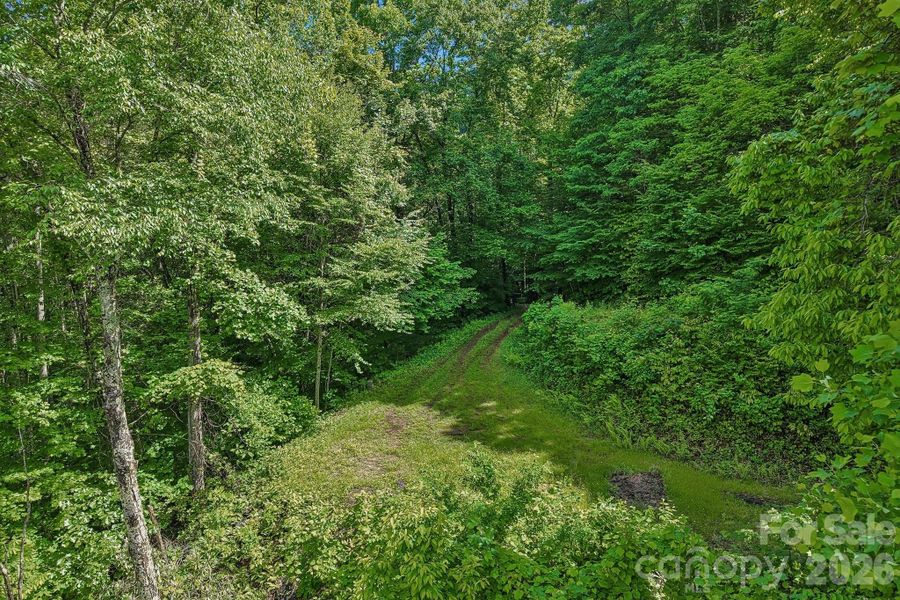Natural landscape and outdoor views near  in Maggie Valley (Image 29).