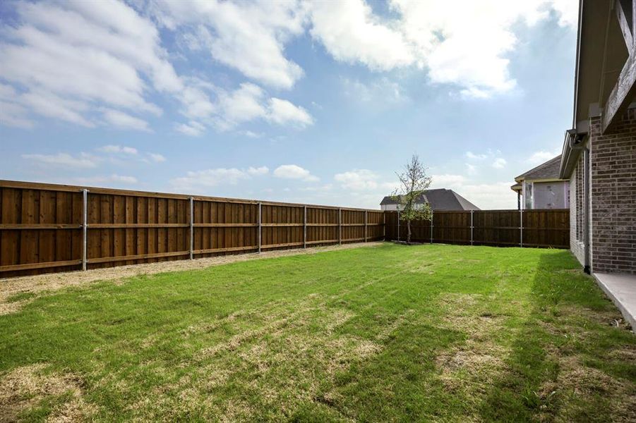 View of fenced backyard