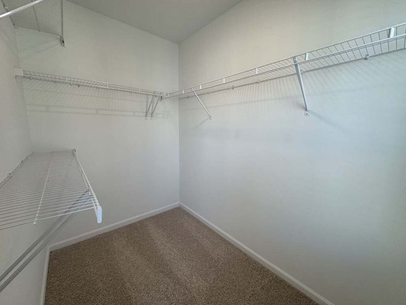 Primary Bedroom Walk-in Closet