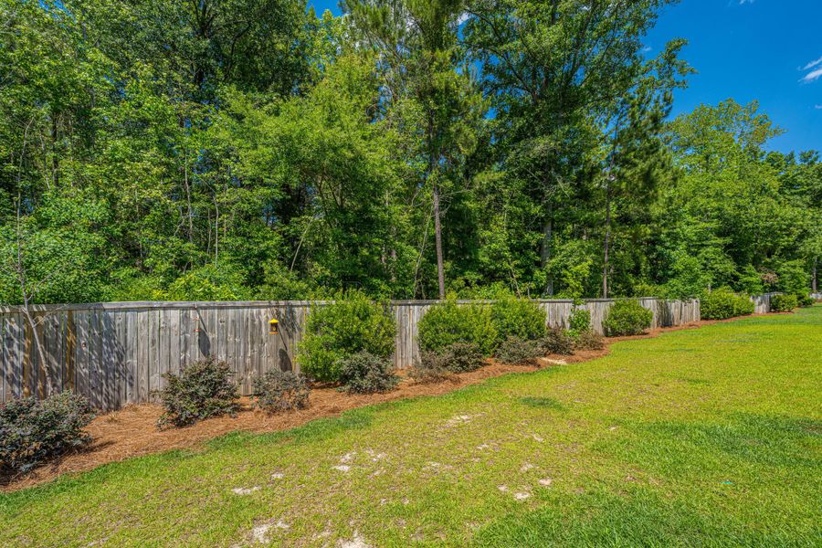 Natural landscape and outdoor views near  in Summerville (Image 33).