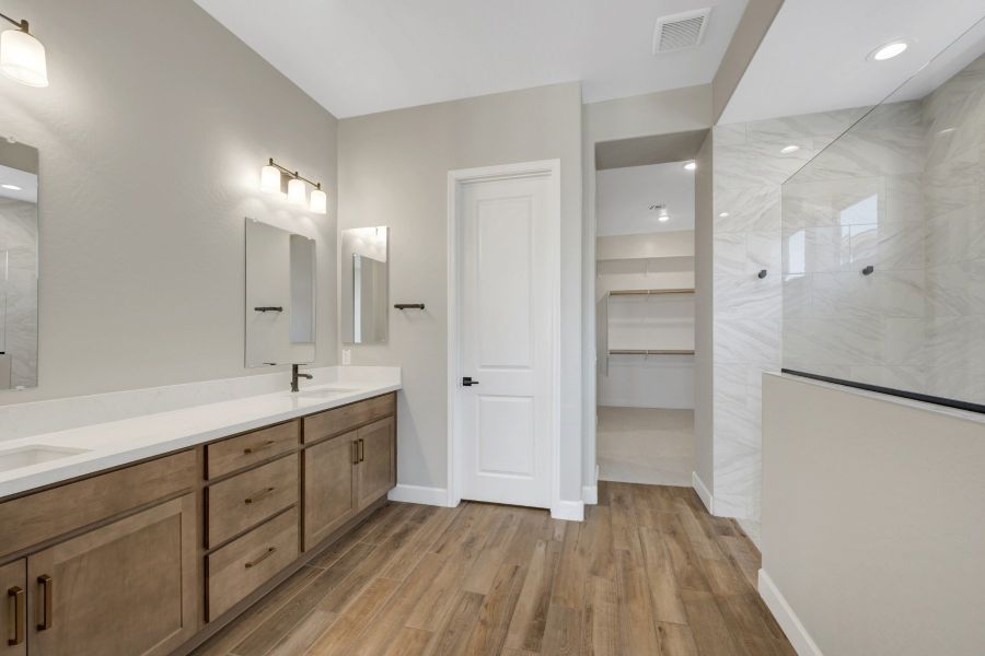 Owner's Bath