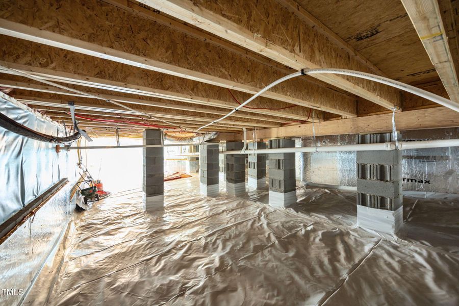 50-web-or-mls-IMG_9845