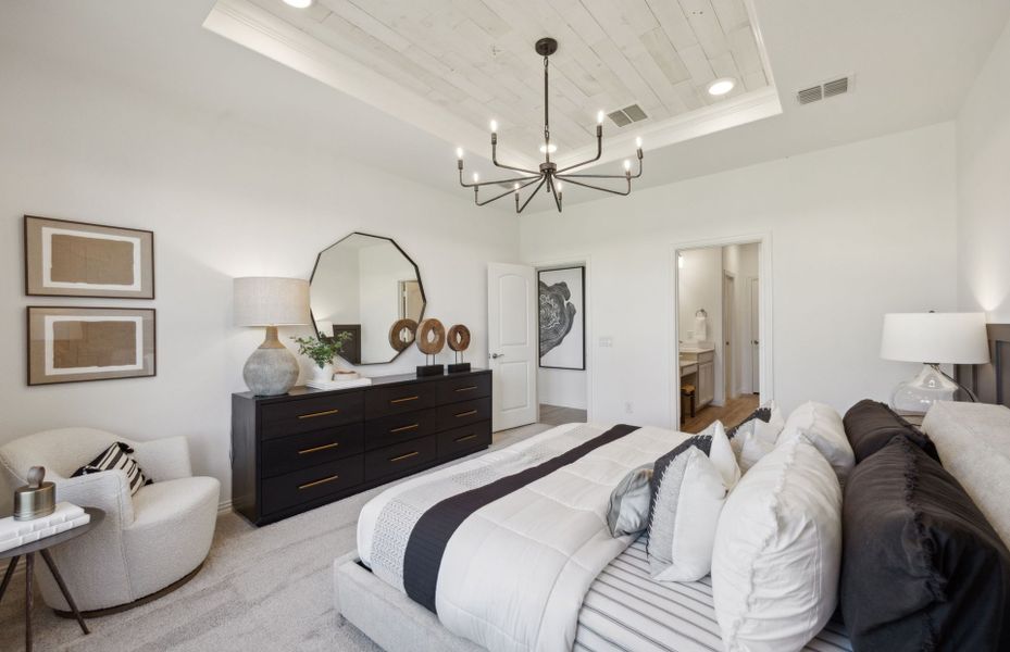 Owner's suite with tray ceiling