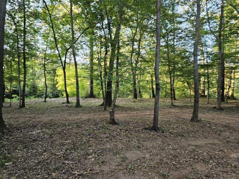 Natural landscape and outdoor views near  in Bowdon (Image 37).