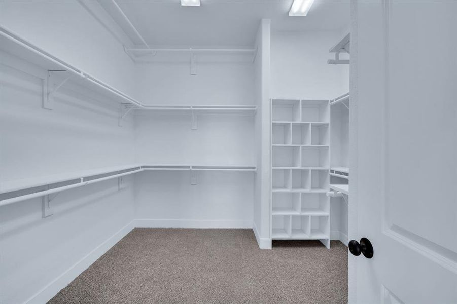 Spacious closet with carpet