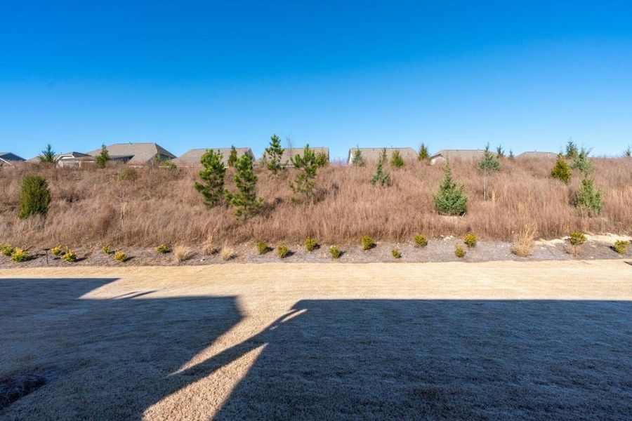 Natural landscape and outdoor views near  in Hoschton (Image 59).