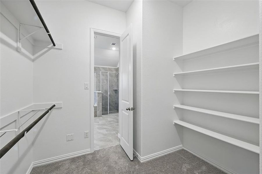 Walk in closet with dark carpet Walk in closet with dark carpet