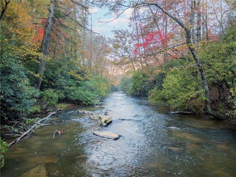 Natural landscape and outdoor views near  in Cherry Log (Image 51).