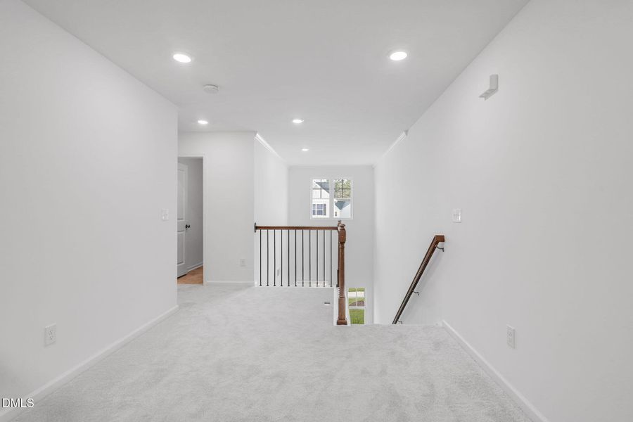 SUN_CaitlinCrossing_Pic_Davidson-37