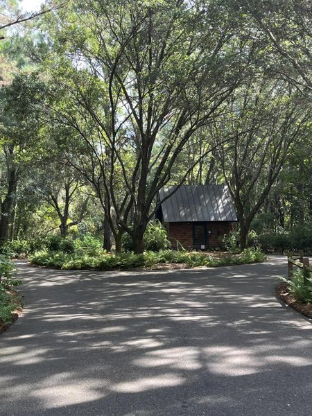 Natural landscape and outdoor views near  in Johns Island (Image 34).