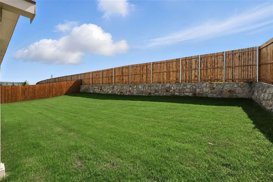 View of fenced backyard