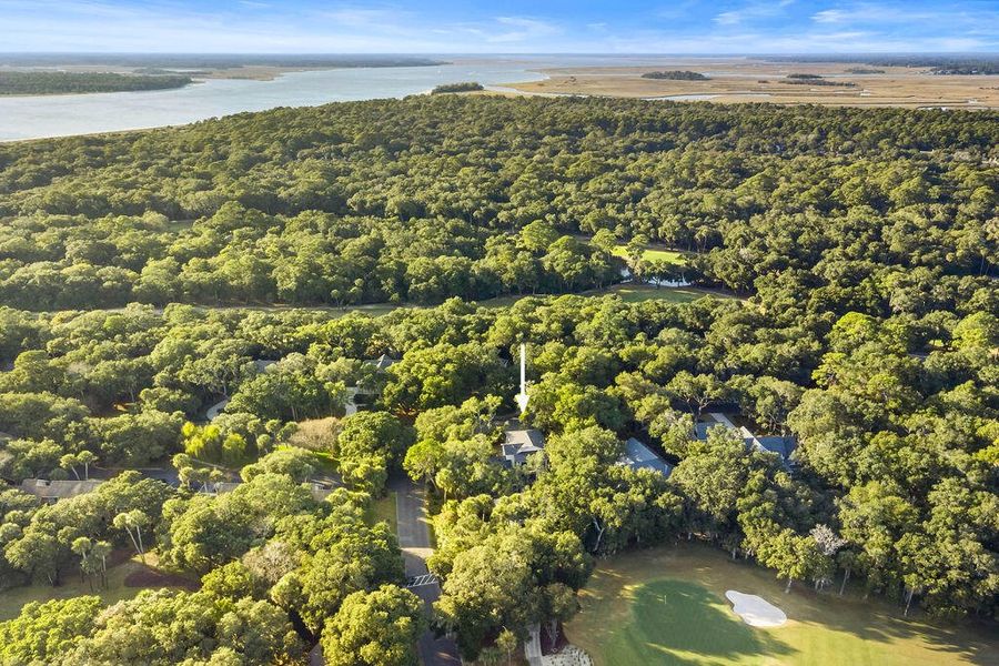 Natural landscape and outdoor views near  in Seabrook Island (Image 90).