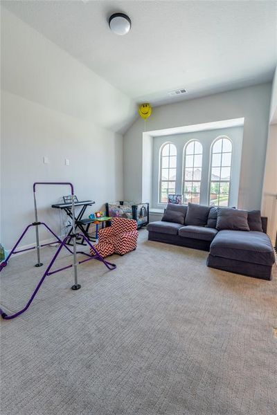 Carpeted home theater featuring baseboards