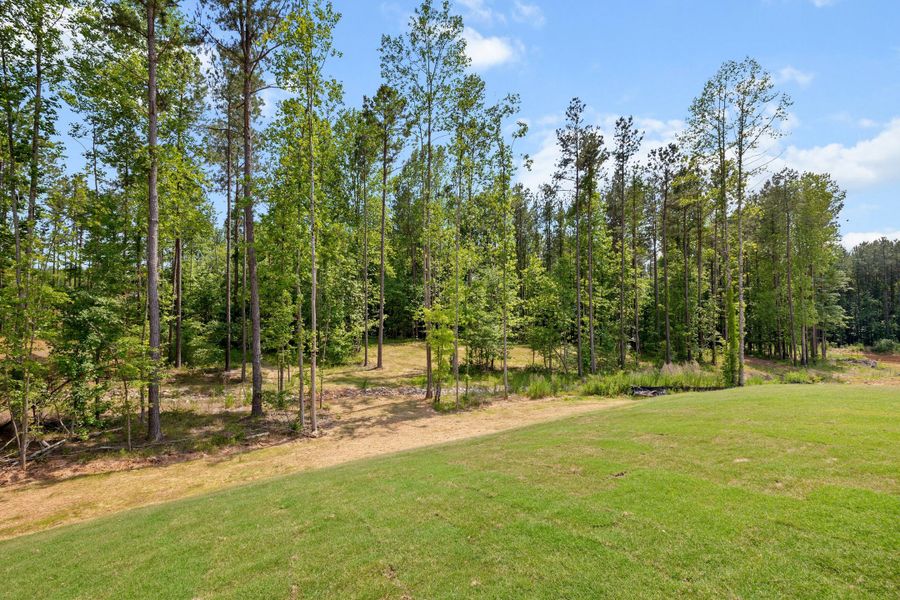 Outdoor and nature views near homes built from the The Chandler by RobuckHomes in Baylee Ridge, Selma (Image 149).
