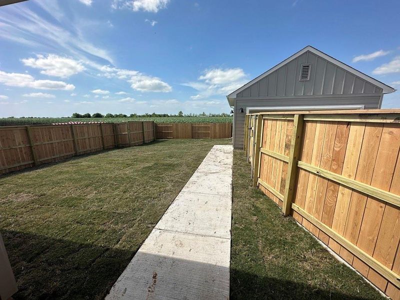 Back yard and walkway to Garage