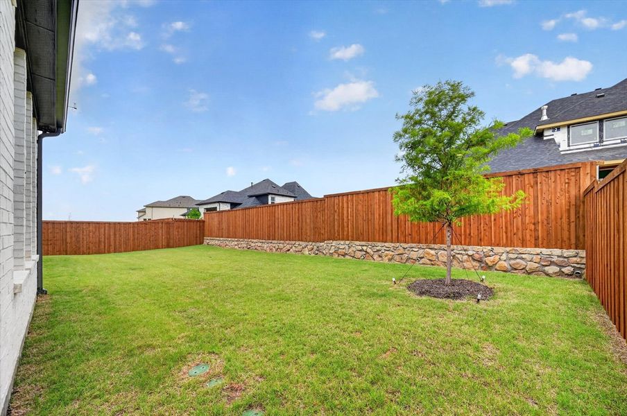 Backyard Backyard