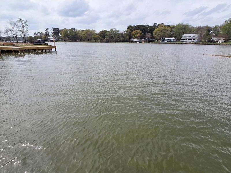 Natural landscape and outdoor views near Lake Conroe Cove in Willis (Image 40).