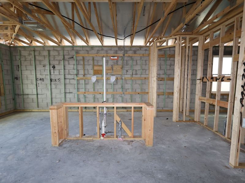 Framing Framing