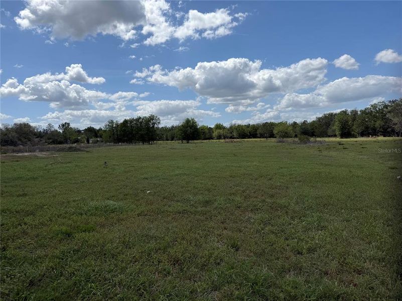 Natural landscape and outdoor views near  in Live Oak (Image 25).