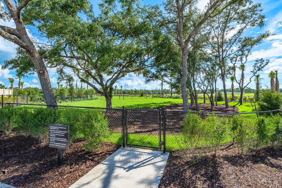 Natural landscape and outdoor views near Palm Wind in Hudson (Image 14).