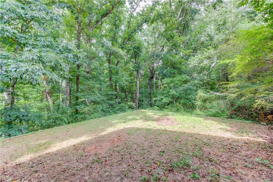 Natural landscape and outdoor views near  in Gainesville (Image 31).