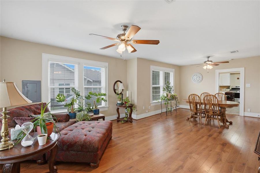 Open-concept living and dining area featuring wood-finish flooring, multiple windows with white trim, and ceiling fans